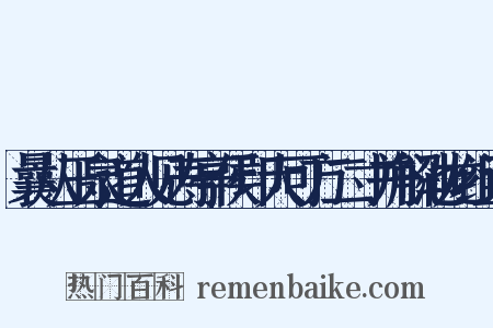 曩从玉泉道人见寿亭侯印大可方二寸并解池龙组词是什么意思的图片